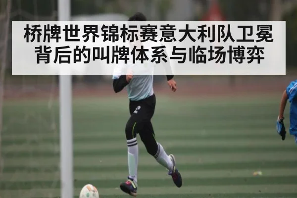 桥牌世界锦标赛意大利队卫冕背后的叫牌体系与临场博弈