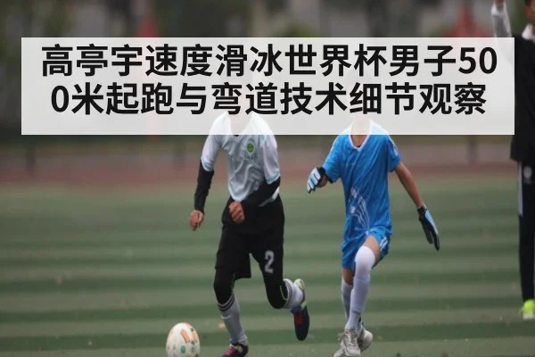 高亭宇速度滑冰世界杯男子500米起跑与弯道技术细节观察